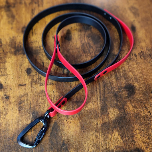 biothane leash with built in traffic handle and auto lock carabiner clip