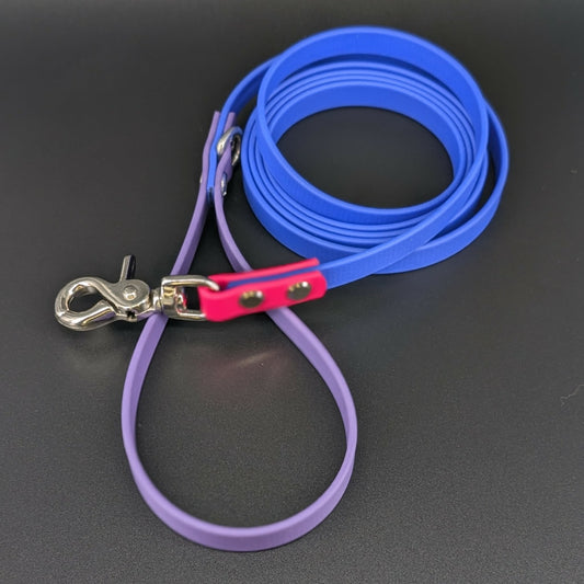 6 foot long royal blue dark purple and pink biothane dog leash