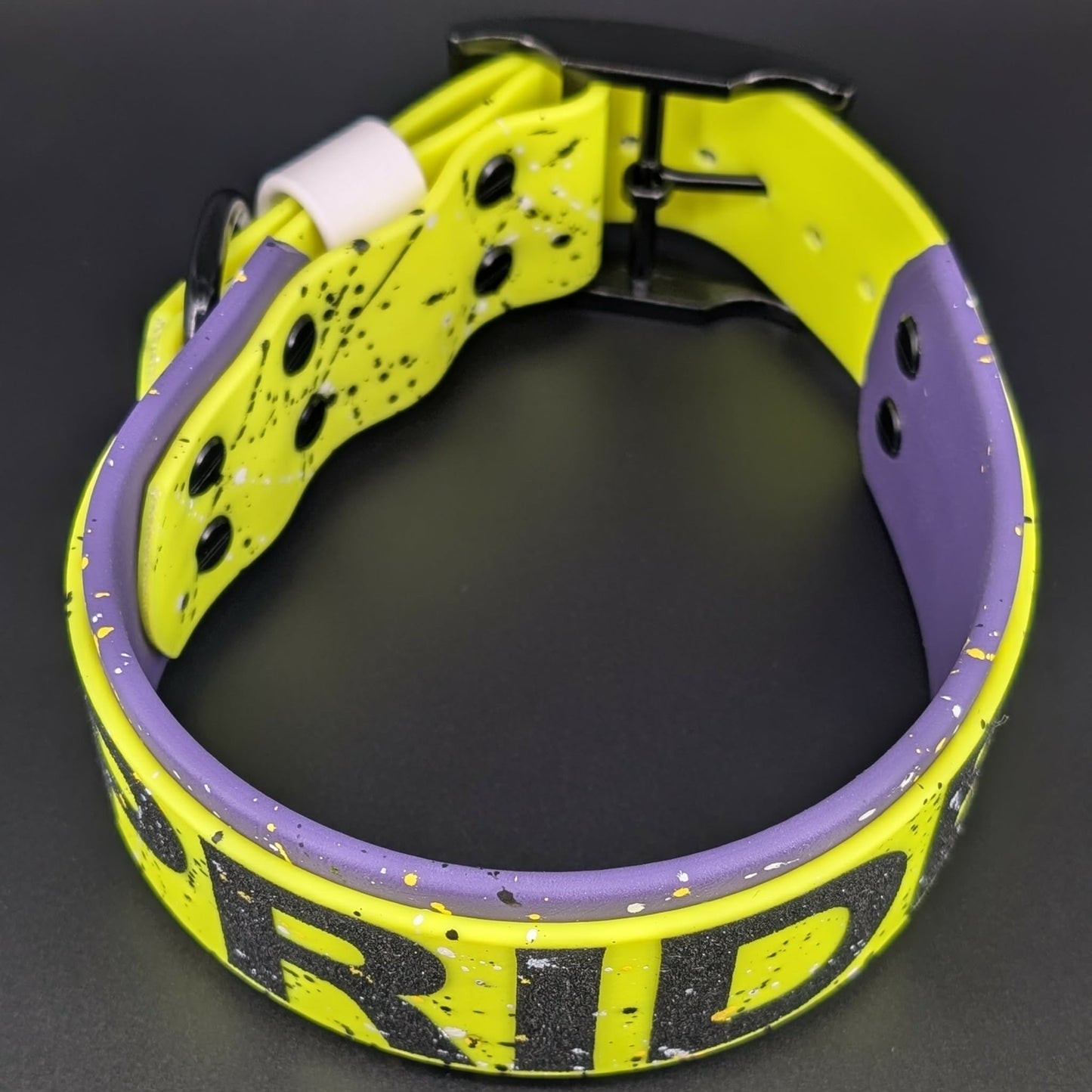 Dark Purple and Yellow Layered Biothane Nonbinary Pride Dog Collar with glitter text and splatter paint