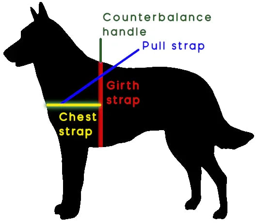 straight front service dog harness how to measure