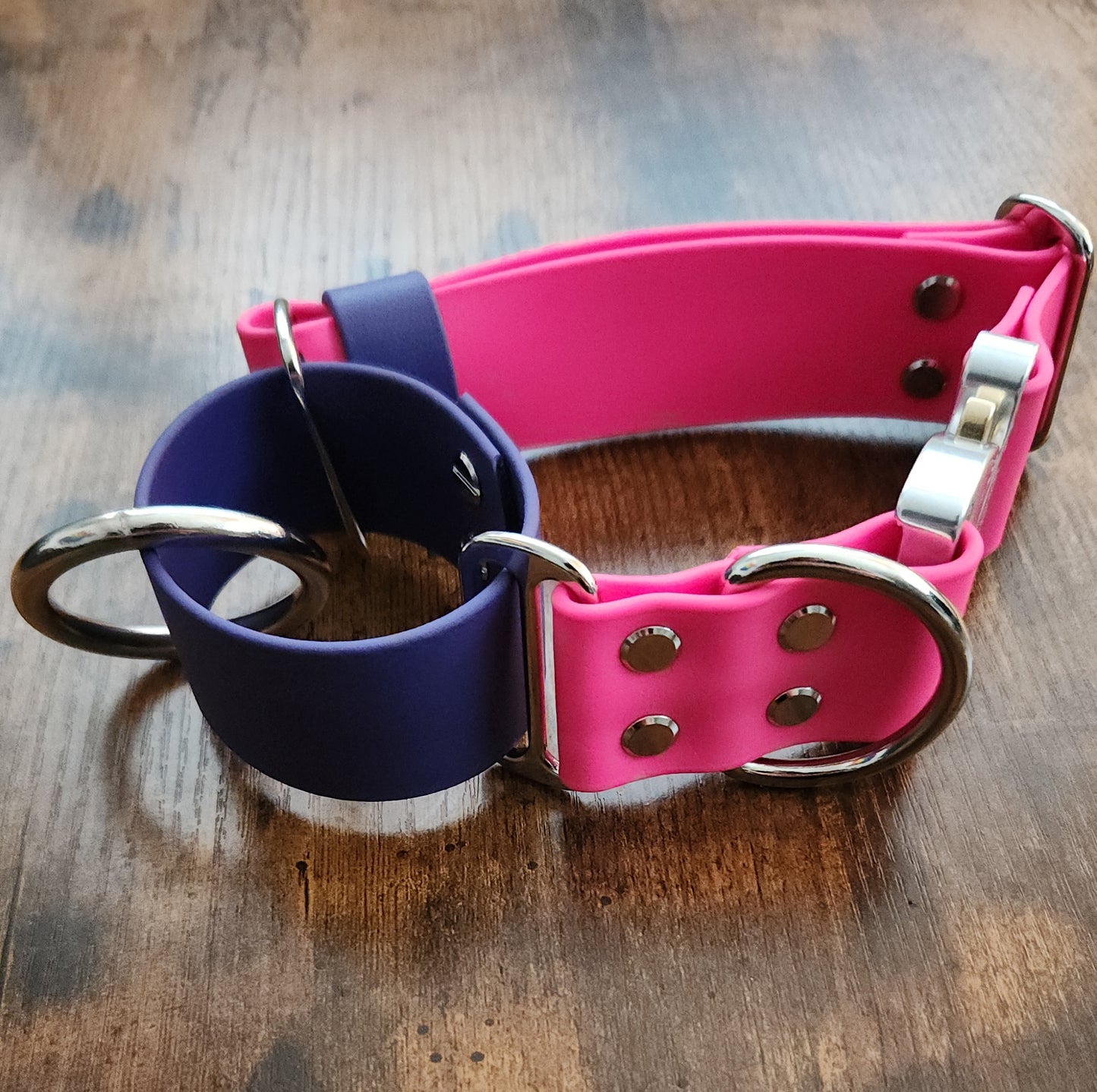 adjustable martingale dog collar with quick release cobra buckle