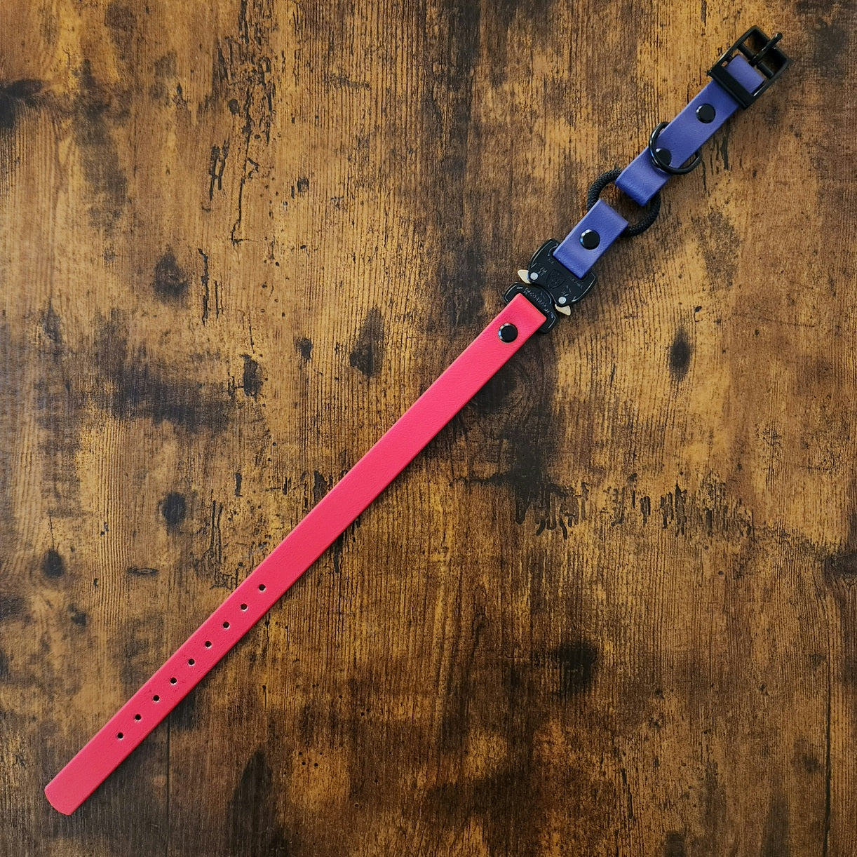 biothane and bungee ecollar strap with cobra buckle
