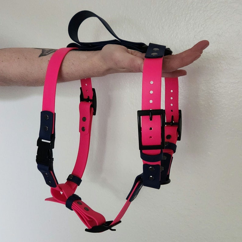 pink and dark blue biothane dog harness with built-in traffic handle