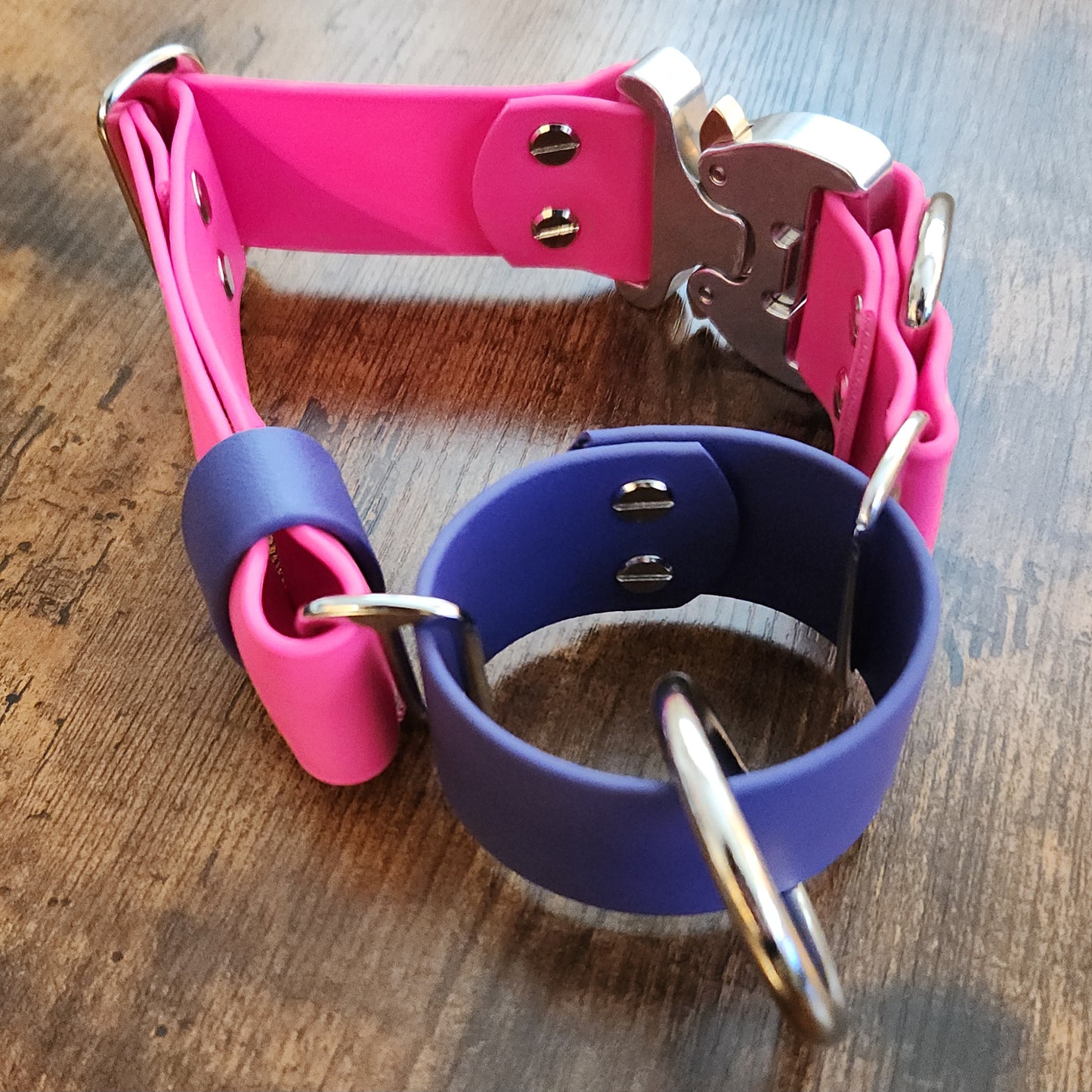 purple and pink biothane loop martingale dog collar with cobra buckle