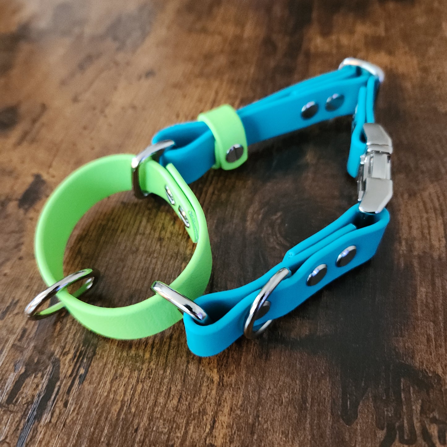 light blue and light green biothane loop martingale collar
