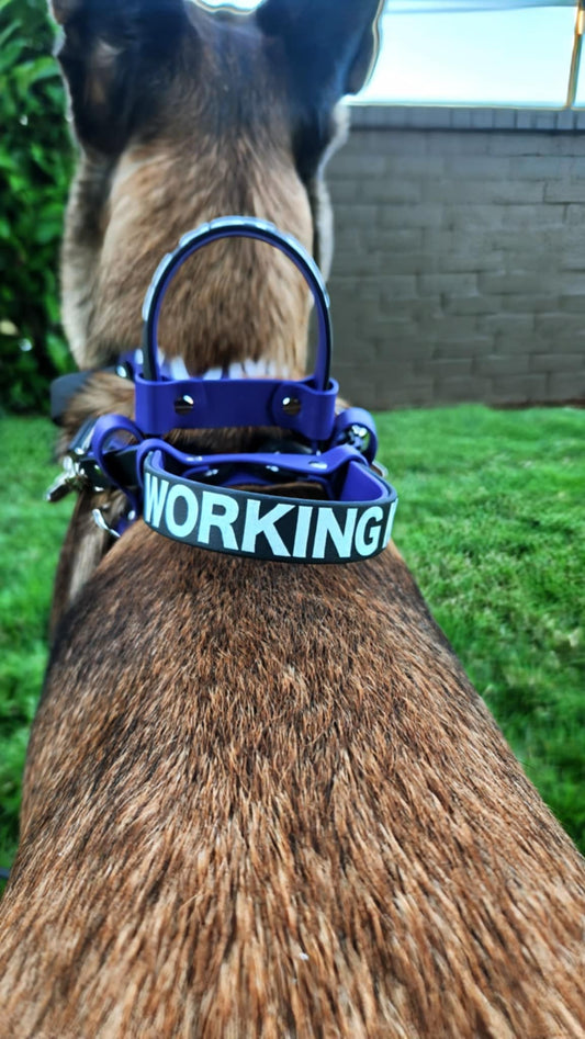 biothane pull strap service dog harness with custom text