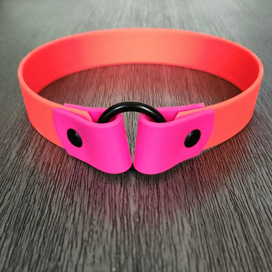 biothane tag collar