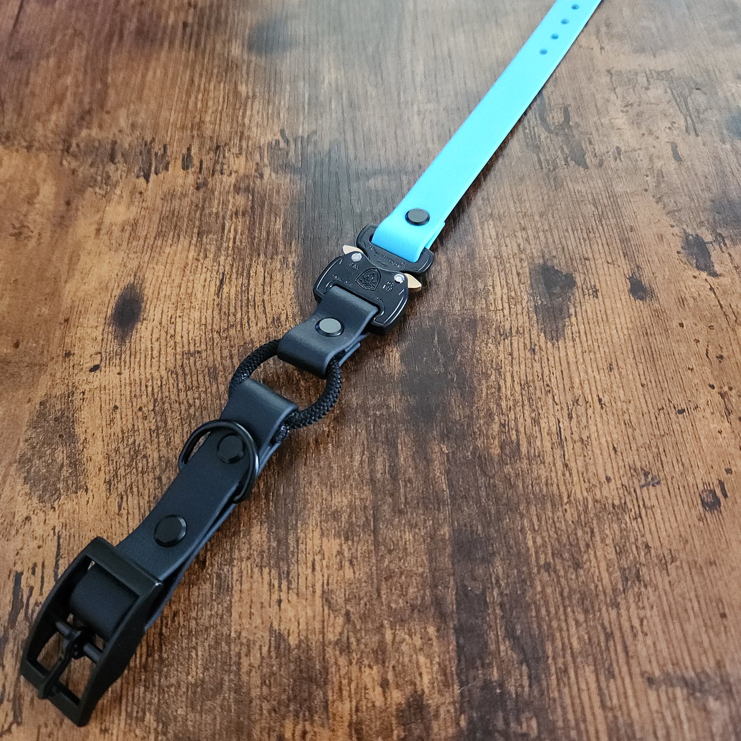 black and light blue biothane e-collar strap with bungee and heavy duty quick release cobra buckle