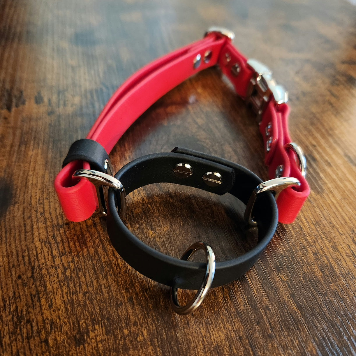 black and red biothane loop martingale dog collar with quick release buckle