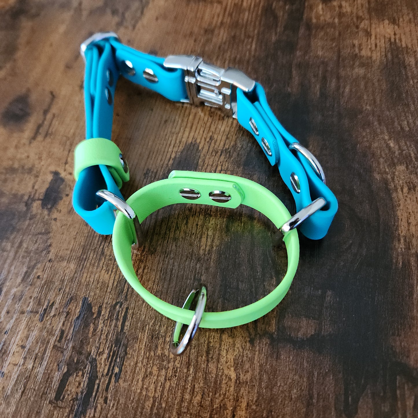 light blue and light green biothane loop martingale collar, adjustable with quick release buckle