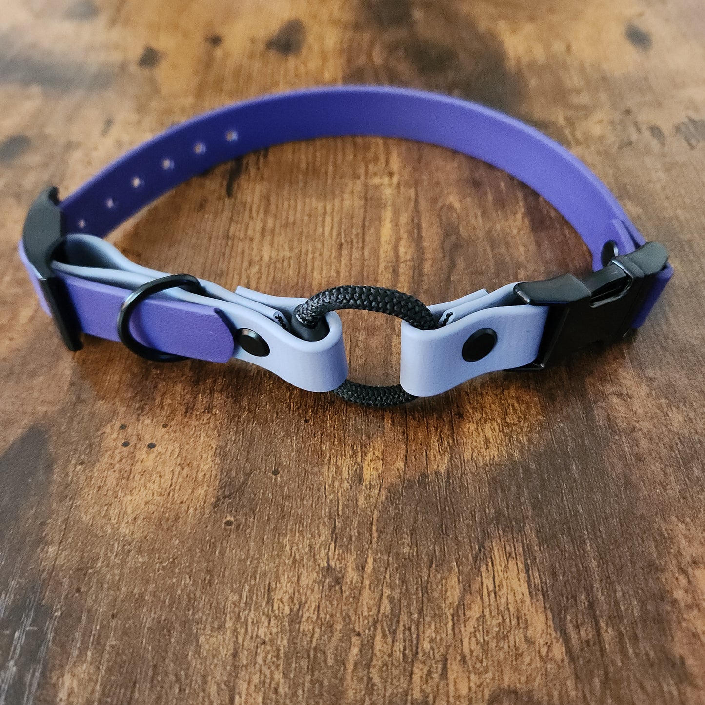 dark purple and gray biothane e-collar strap with bungee and quick release buckle