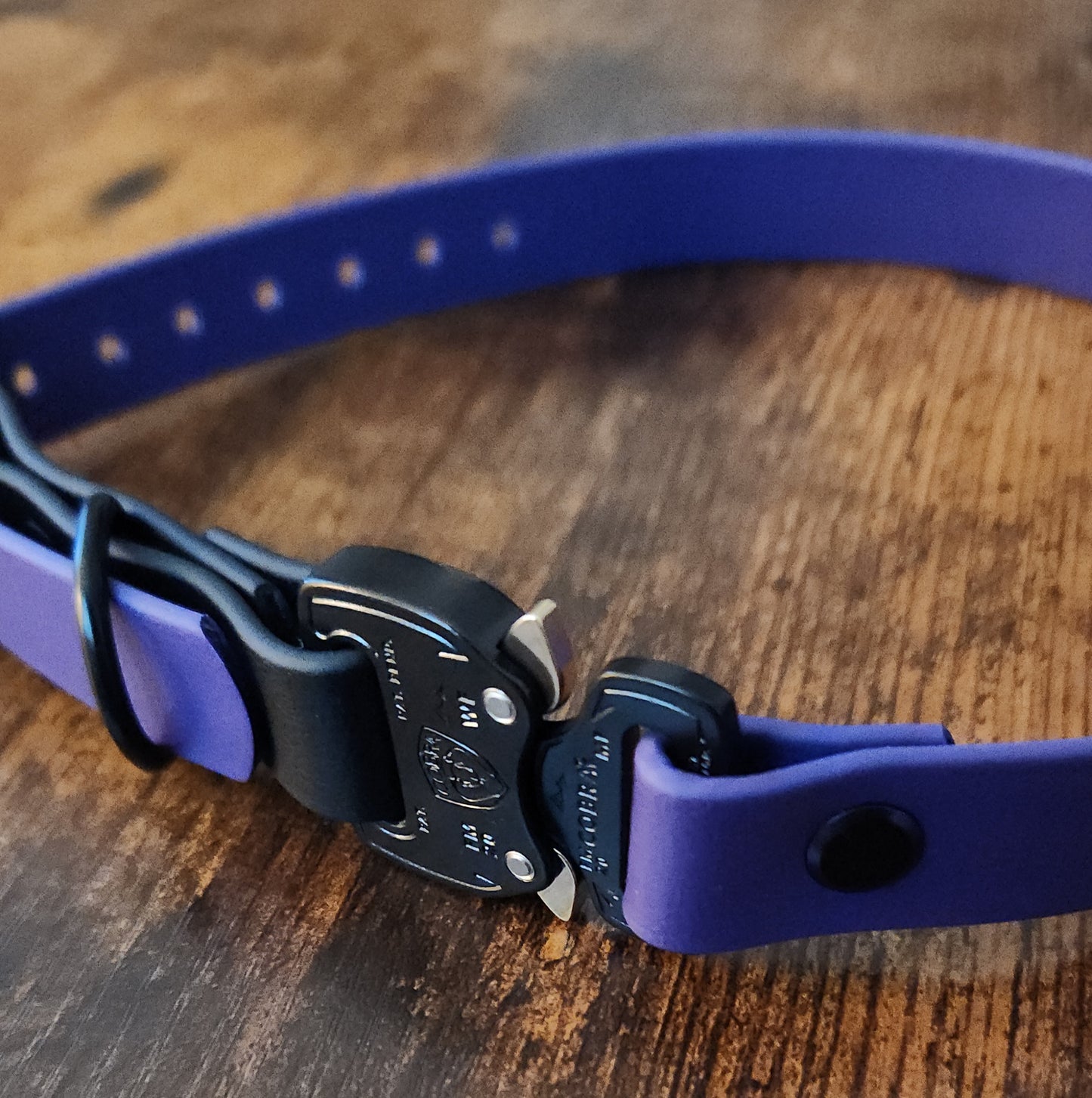 dark purple and black biothane e-collar strap with quick release cobra buckle