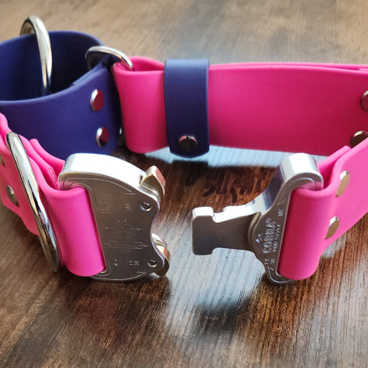 heavy duty cobra buckle on a biothane martingale dog collar