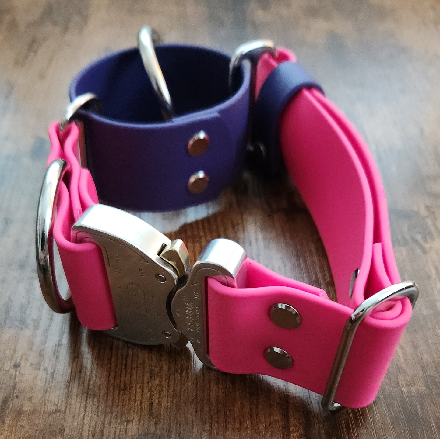cobra buckle on a biothane martingale dog collar