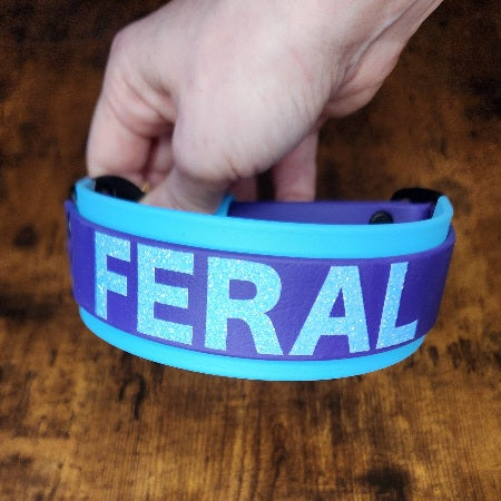 custom text on layered biothane collar with quick release cobra buckle