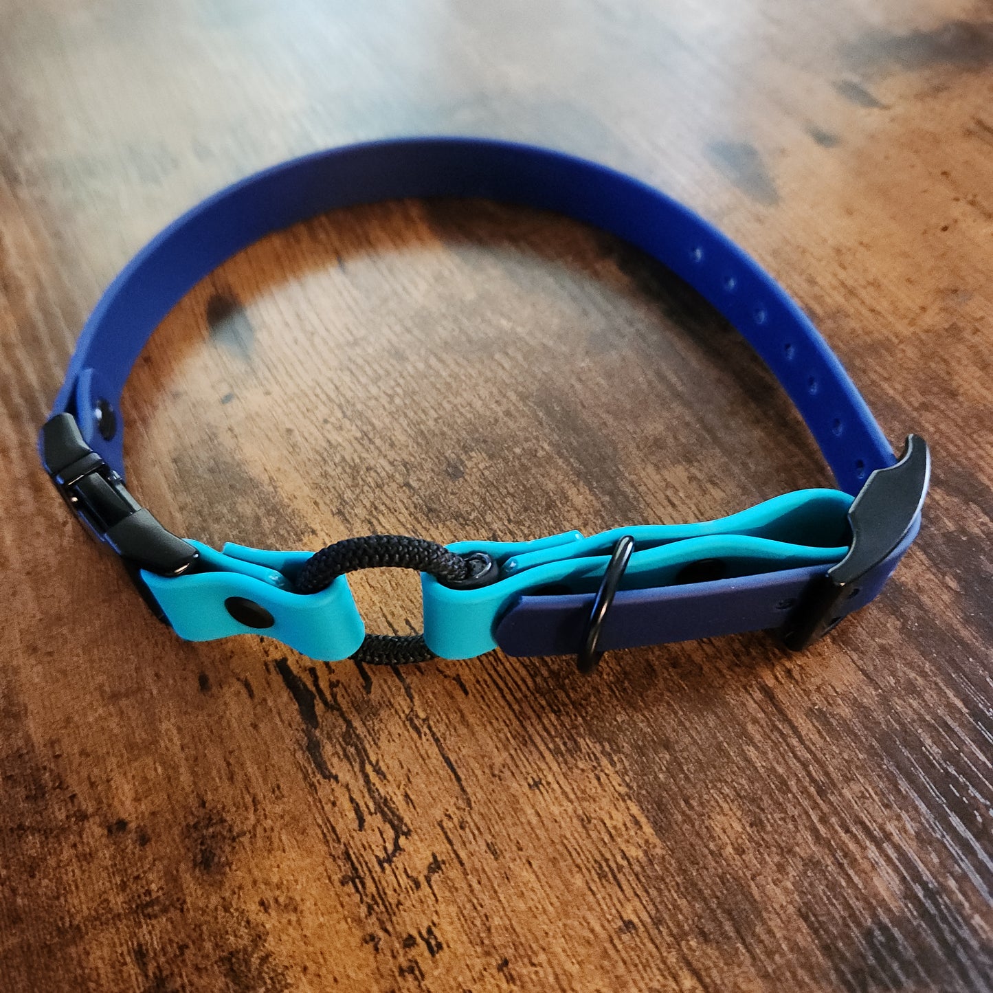 dark blue and teal biothane e-collar strap with bungee and quick release buckle