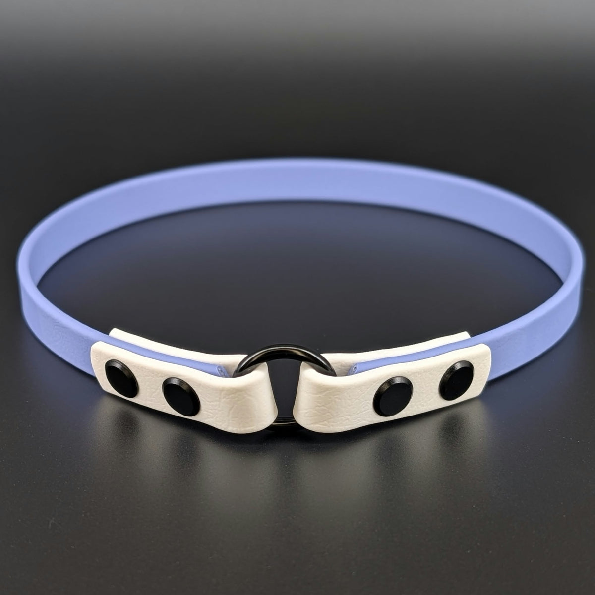 half inch wide periwinkle and white biothane tag collar