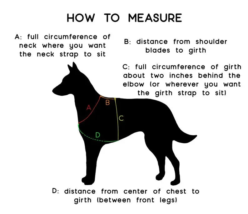 how to measure guide for dog harness