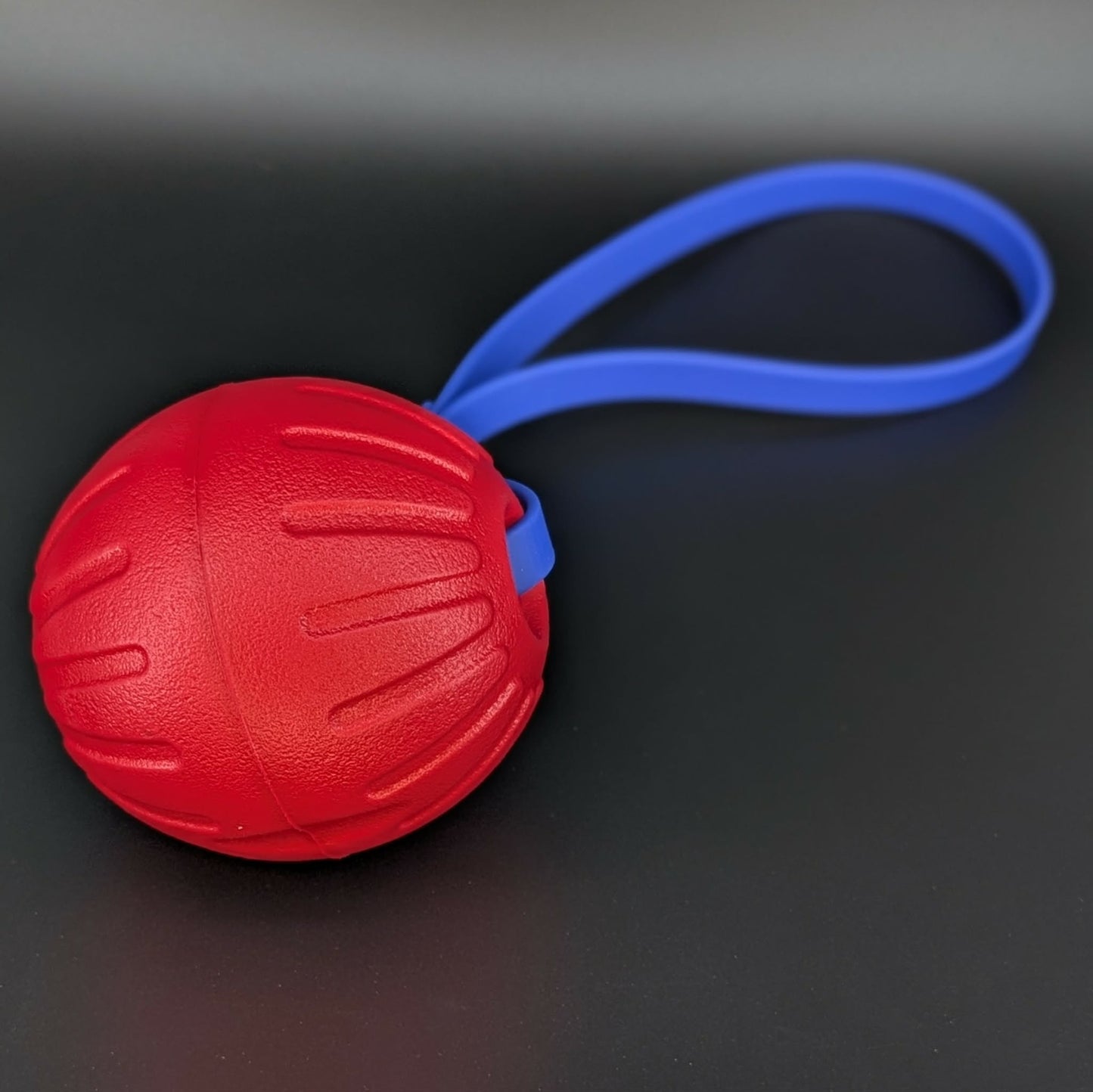 large red eva foam ball tug with a royal blue biothane loop handle