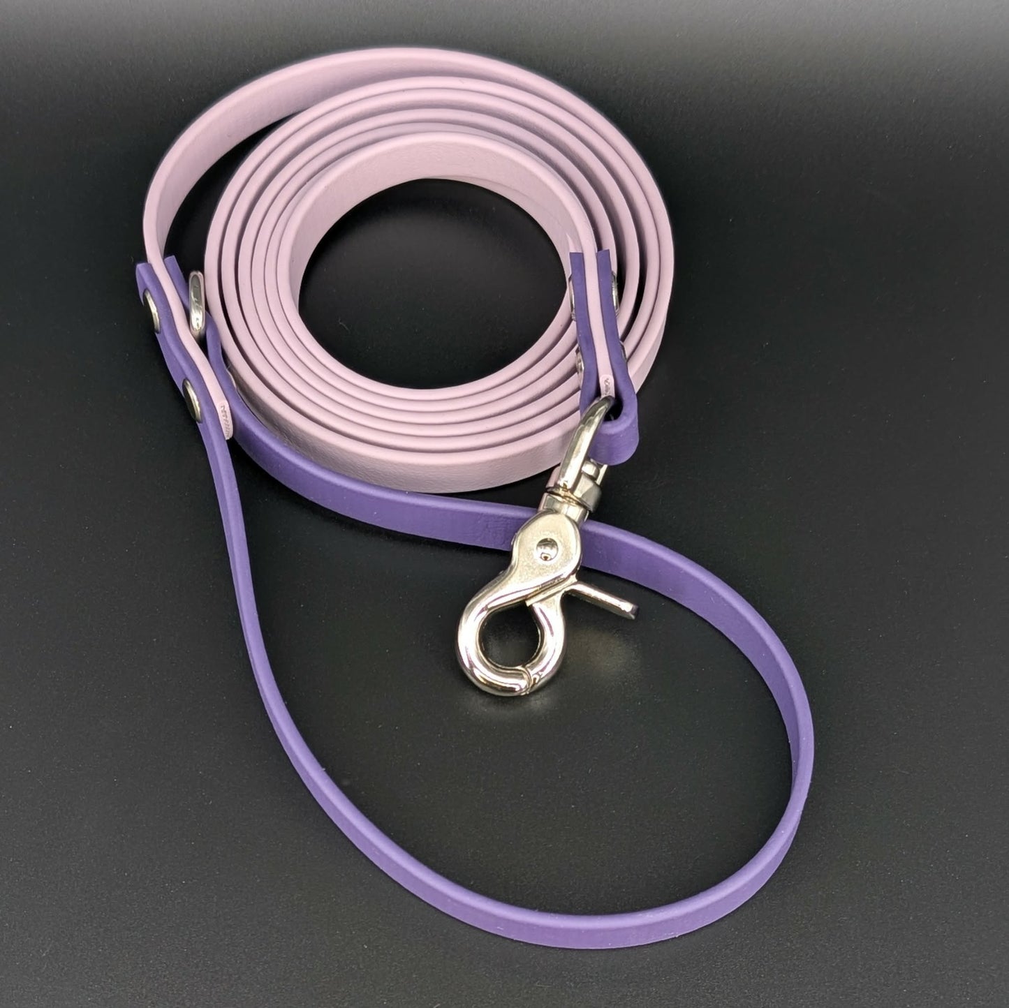 lavender and dark purple biothane leash for dog