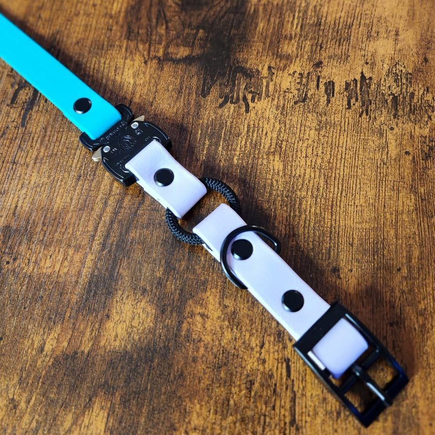 lavender and teal biothane e-collar strap with bungee and quick release cobra buckle
