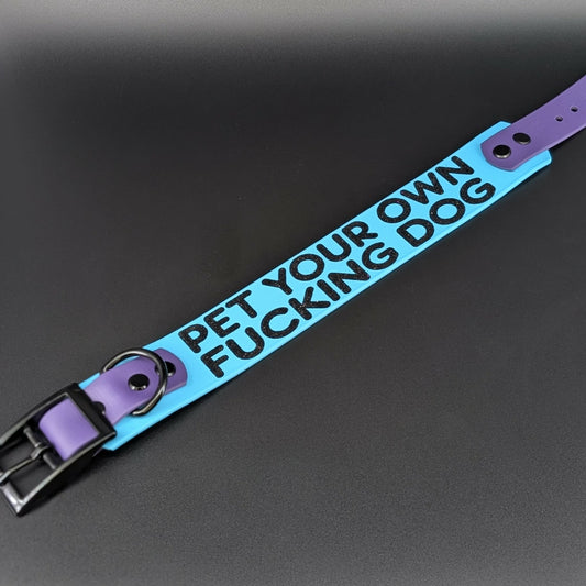 light blue and dark purple tapered biothane pet your own fucking dog collar