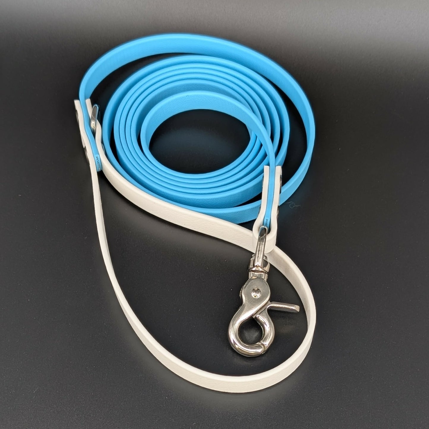 light blue and white biothane leash for dog
