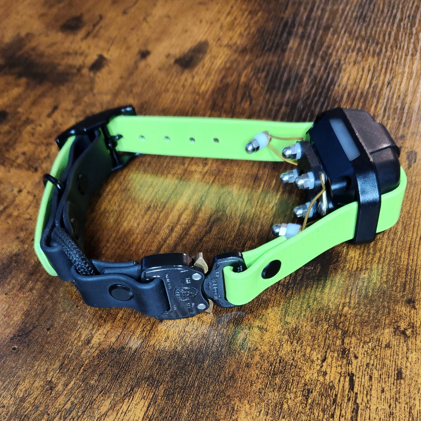 light green and black biothane bungee e-collar strap with cobra buckle on dogtra 280x