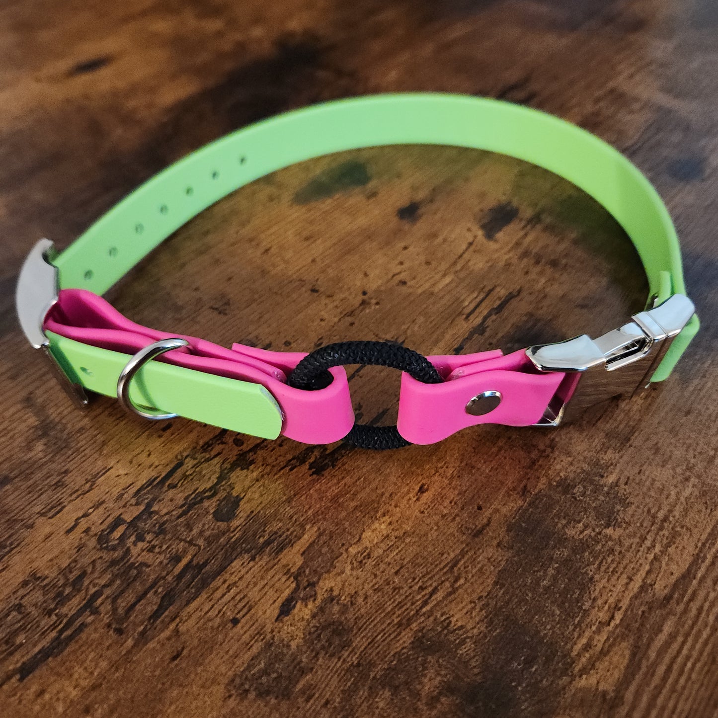 light green and pink biothane e-collar strap with bungee and quick release buckle