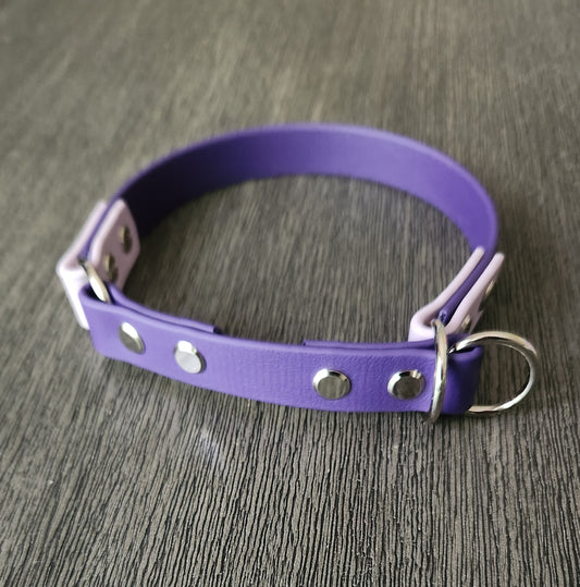 biothane limited slip dog collar