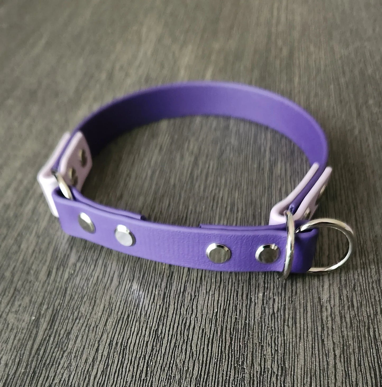 biothane limited slip dog collar