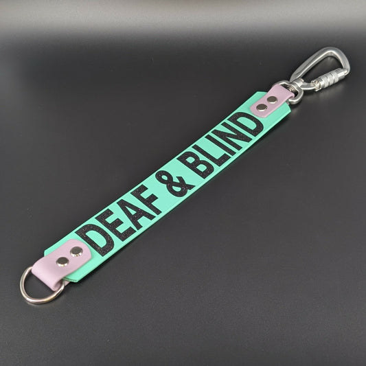 mint green and lavender biothane leash extender warning
