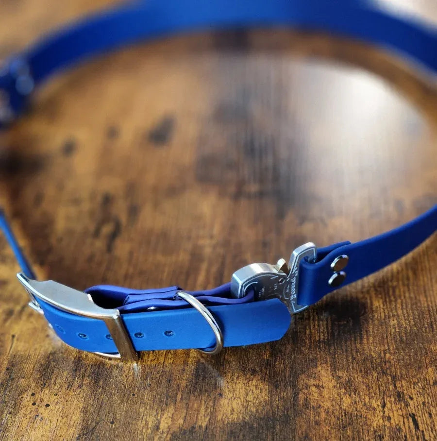 navy and purple biothane utility belt for dog walking