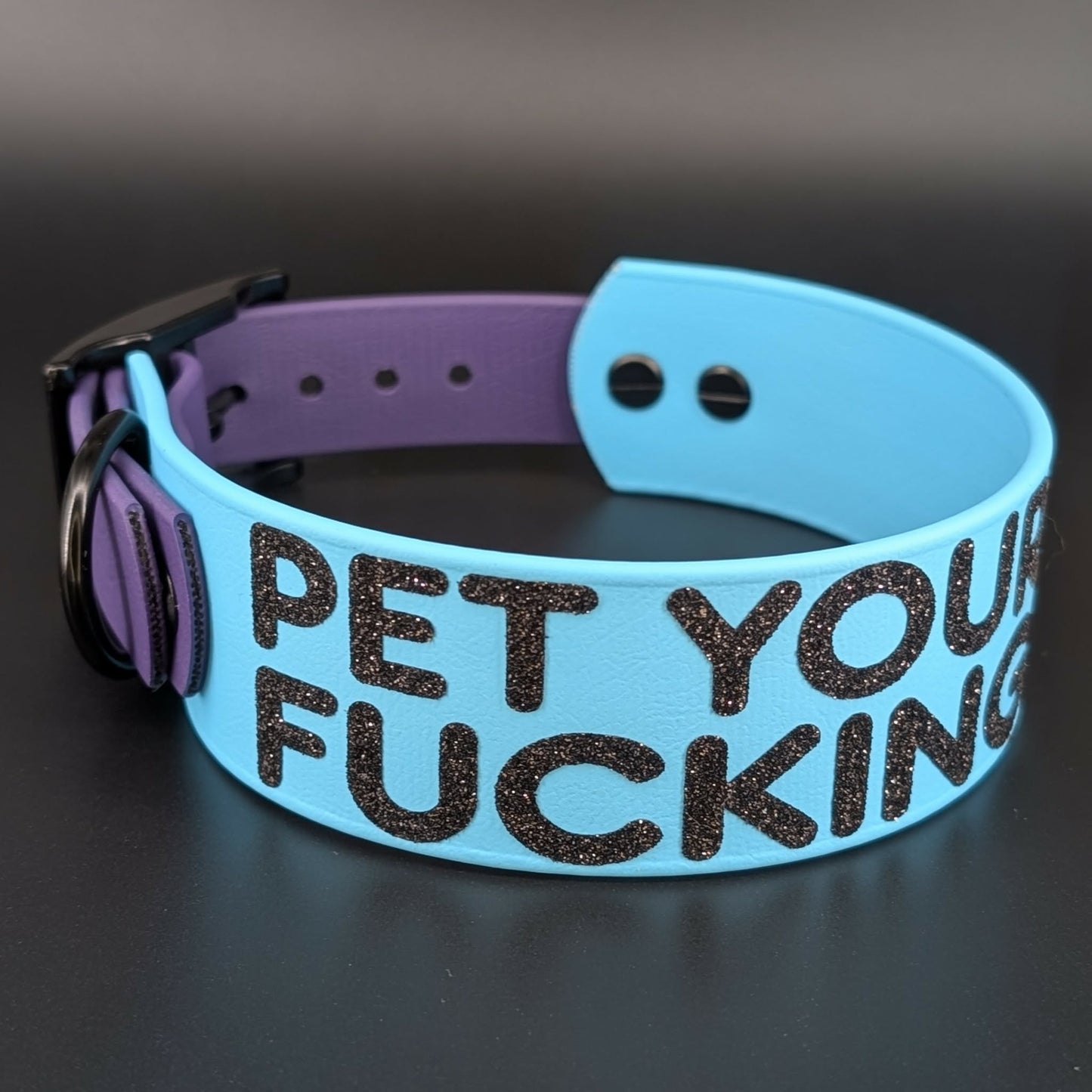 pet your own fucking dog tapered blue and purple biothane collar