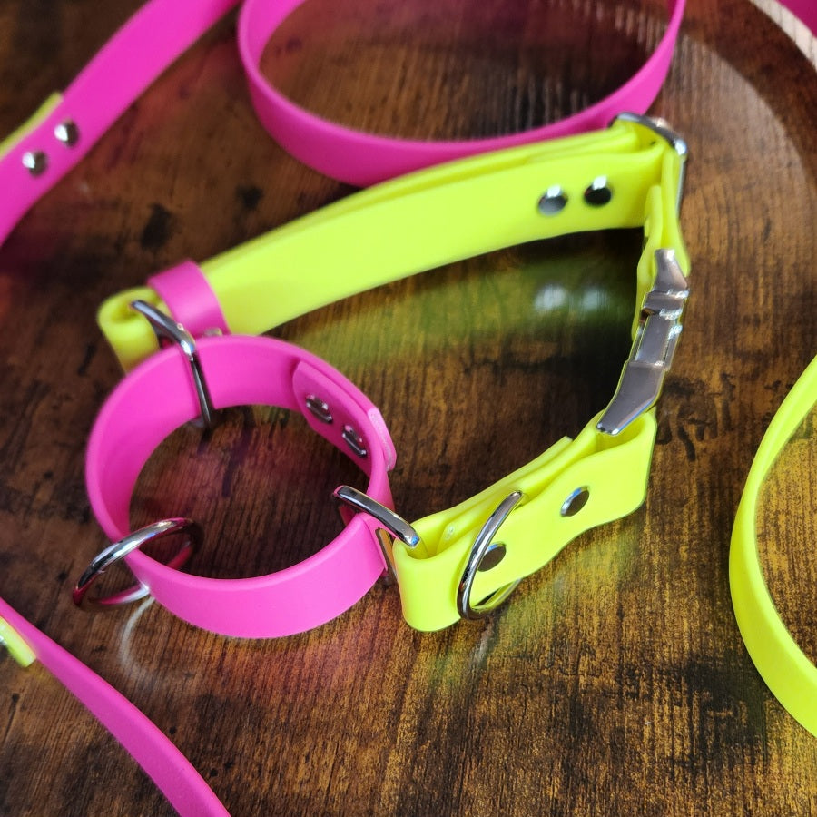 pink and yellow biothane martingale collar