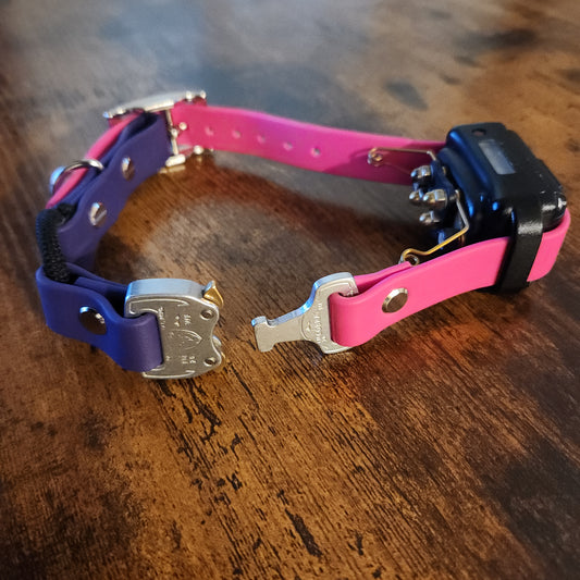 pink and purple biothane e-collar strap with bungee and quick release cobra buckle