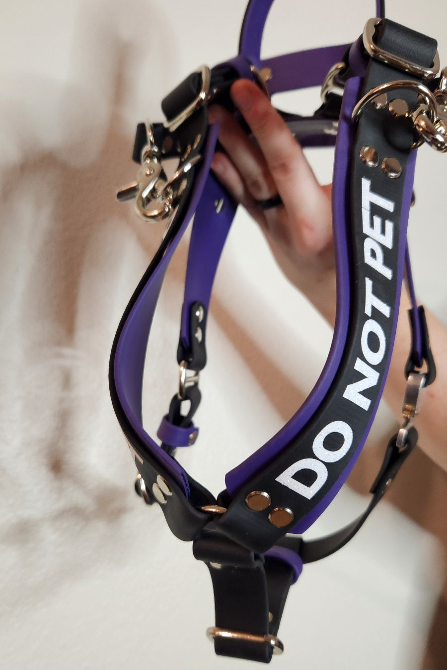 purple and black biothane y front service dog harness with custom text