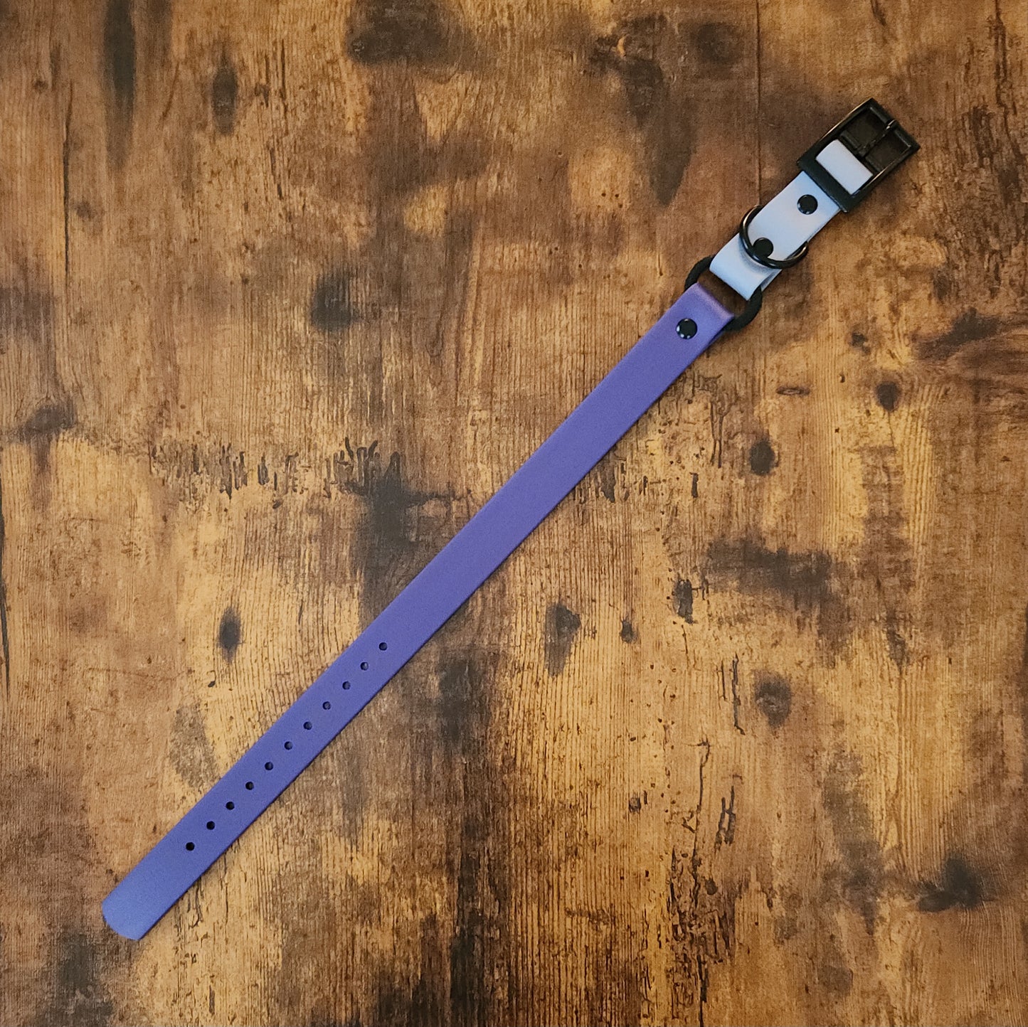 dark purple and gray biothane e-collar strap