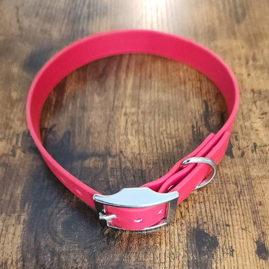 red biothane dog collar with silver hardware