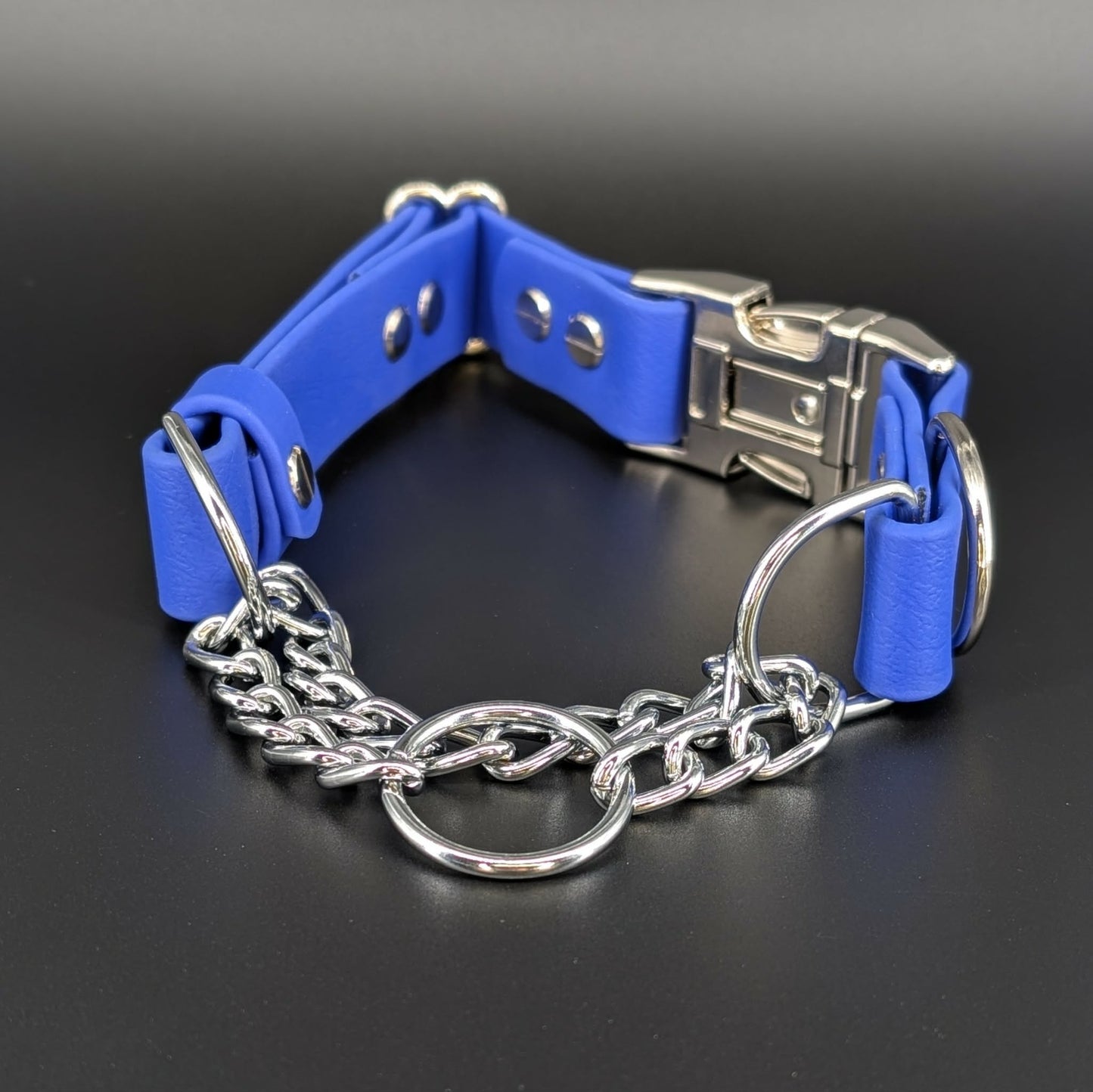 royal blue biothane chain martingale collar with quick release buckle