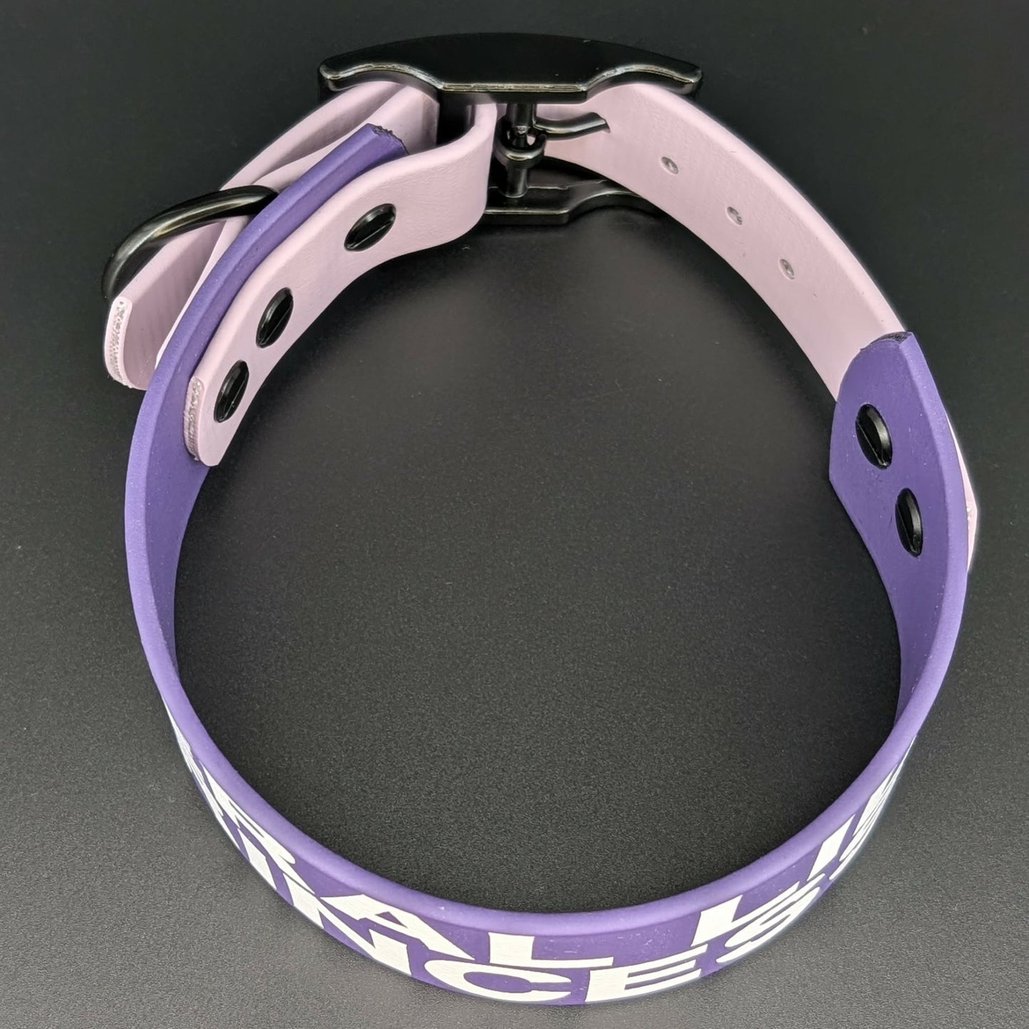 tapered biothane dog collar with feral lil princess text