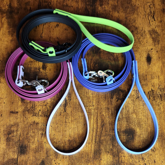 two tone biothane slip leashes with quick release clips