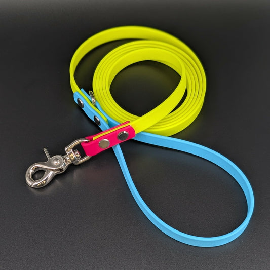 yellow light blue and pink biothane dog leash silver hardware