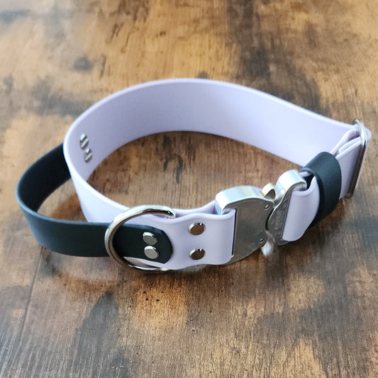 waterproof dog collar for adventure dogs