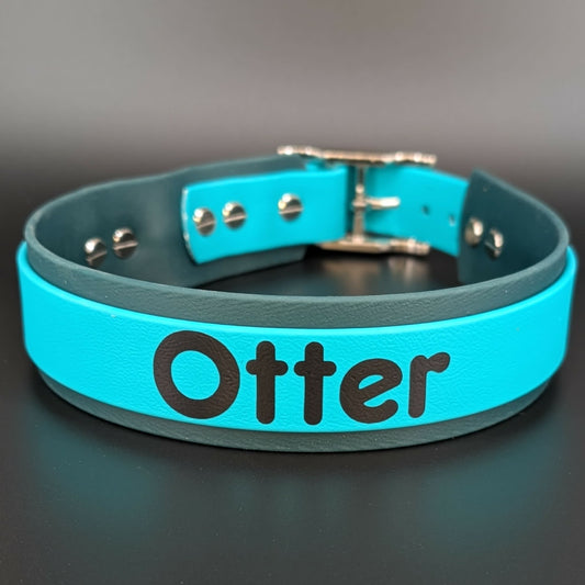 Custom Text Dog Collars: Personalized, Durable, and Adventure-Ready
