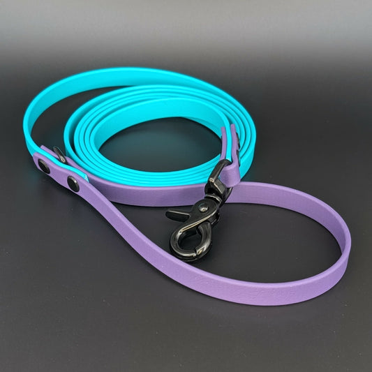 How to Clean Biothane Dog Gear – Collars, Leashes & More