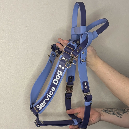 Best Waterproof Service Dog Gear: Biothane Collars, Leashes, and Harnesses That Work