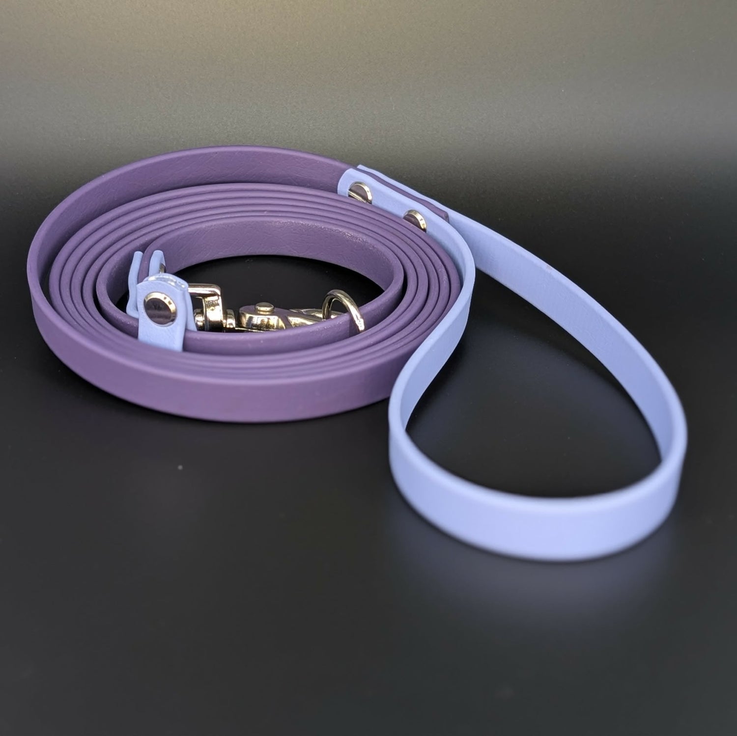 Ready to Ship Biothane Dog Leashes & Long Lines Made By Outer Space Dog Gear