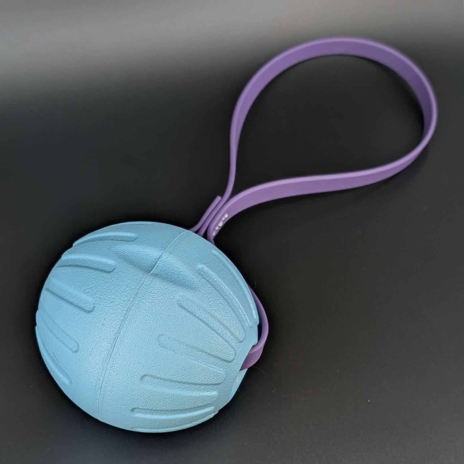 Ready to Ship Biothane Dog Training Gear - Outer Space Dog Gear