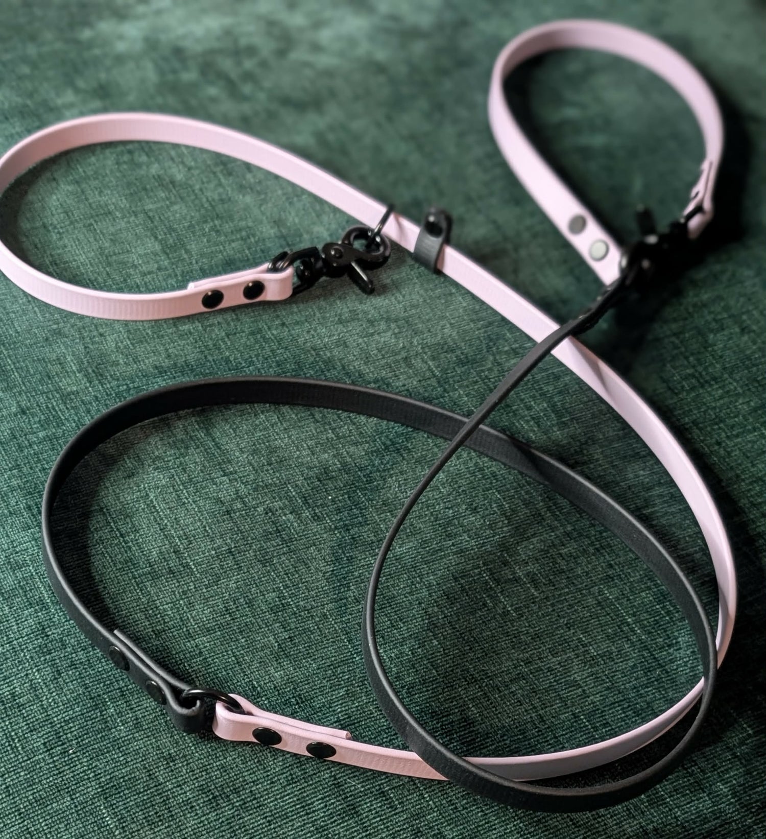 custom biothane dog leashes and long lines made by outer space dog gear